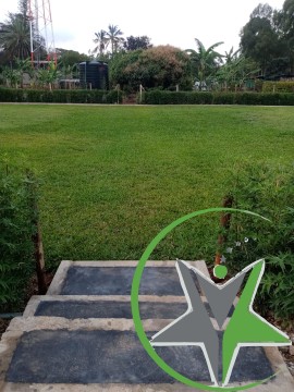 THE GRAND ENTRANCE B